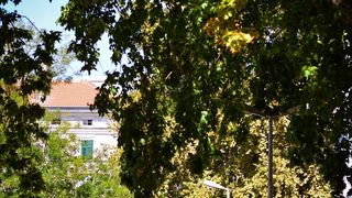 Subotnja šetnja najlipšom rivom i poluotokom. Foto: Iva Perinčić Subotnja šetnja najlipšom rivom i poluotokom. Foto: Iva Perinčić