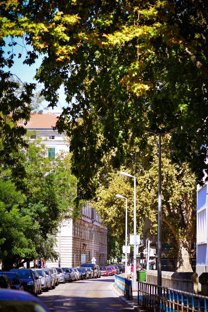 Subotnja šetnja najlipšom rivom i poluotokom. Foto: Iva Perinčić Subotnja šetnja najlipšom rivom i poluotokom. Foto: Iva Perinčić