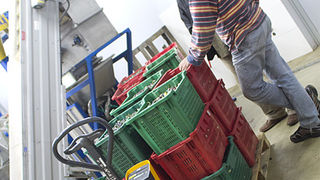 Večer u uljari, Foto: Leo Banić