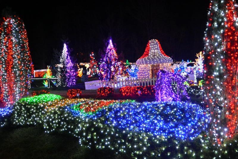 Dva milijuna lampica za božićnu čaroliju na imanju Salaj