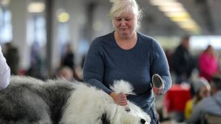 Izložba pasa na Zagrebačkom velesajmu Izložba pasa na Zagrebačkom velesajmu