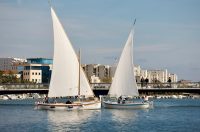 Defile tradicijskih brodova u uvali Jazine