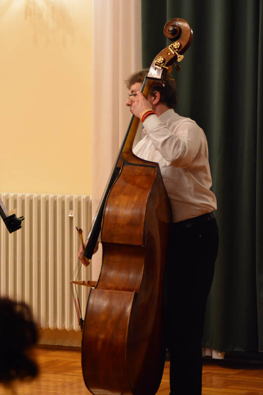 Pavle Dešpalj i Zadarski komorni orkestar