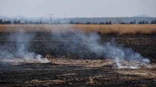 Požar u ornitološkom rezervatu Parka prirodeP Vransko jezero Požar u ornitološkom rezervatu Parka prirodeP Vransko jezero