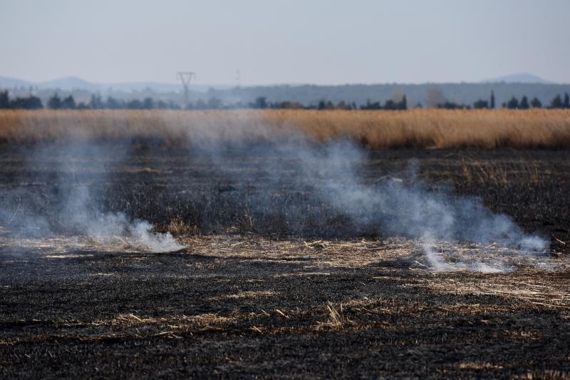 Požar u ornitološkom rezervatu Parka prirodeP Vransko jezero Požar u ornitološkom rezervatu Parka prirodeP Vransko jezero