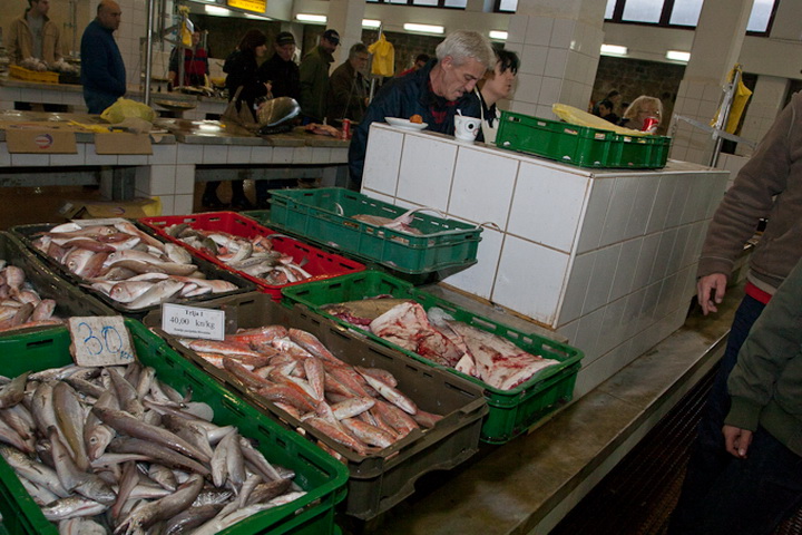 S pjace i peskarije, 24. prosinca 2010., Foto: Leo Banic