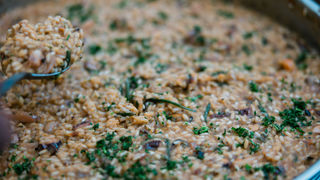 1. Festival rižota @ Skradin