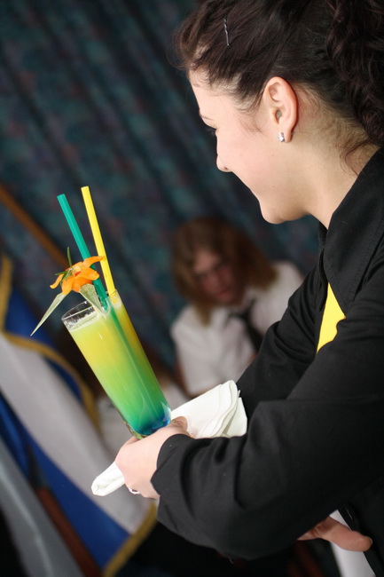 1. Zupanijski junior barmen kup u hotelu Kolovare, Foto: Ivan Stipcevic