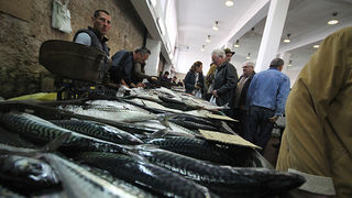 Đir po pešakariji 6. travnja 2012. (foto:Saša Čuka) Đir po pešakariji 6. travnja 2012. (foto:Saša Čuka)