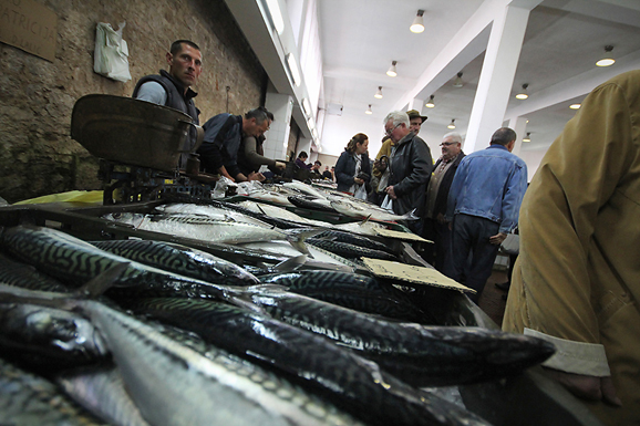 Đir po pešakariji 6. travnja 2012. (foto:Saša Čuka) Đir po pešakariji 6. travnja 2012. (foto:Saša Čuka)