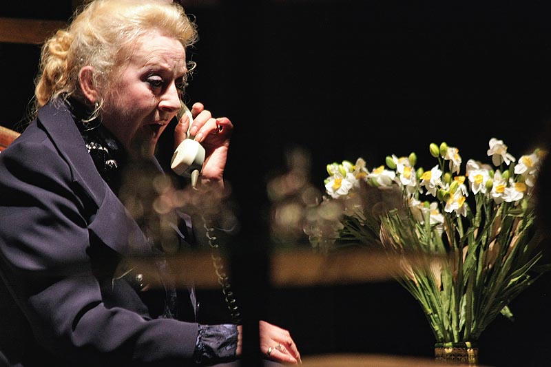 HKK Zadar – Staklena menažerija HKK Zadar – Staklena menažerija