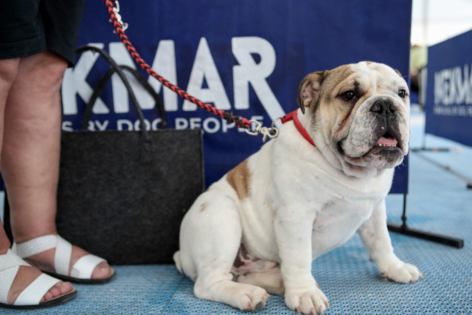 Međunarodna izložba pasa CACIB 2023