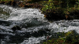 Prvosvibanjski izlet na Skradinski Buk