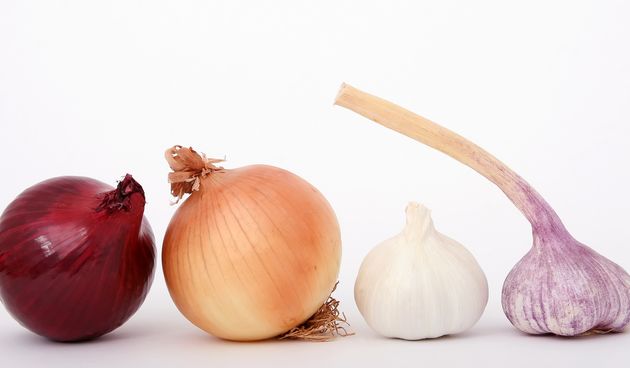 Crveni luk uzgoj: savjeti za uzgoj crvenog luka