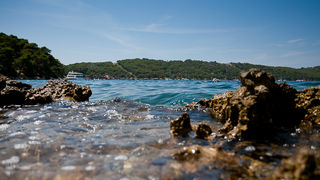 Posjeta NP Kornati i PP Telašćica, foto: Darko Belančić Posjeta NP Kornati i PP Telašćica, foto: Darko Belančić