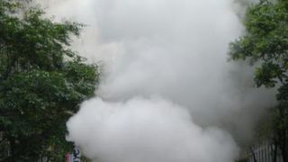 Image 1176081 (auto)