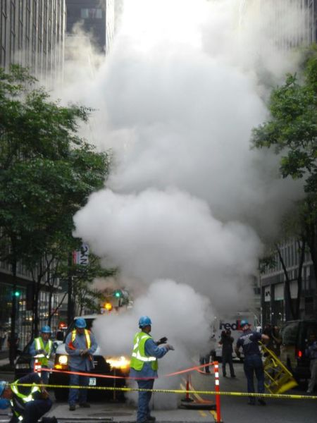 Image 1176081 (auto)