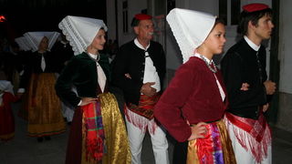 Ljetni paski karneval 2008.