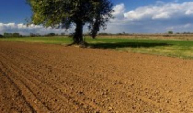 Poljoprivredno zemljište (Foto: agroburza.hr)