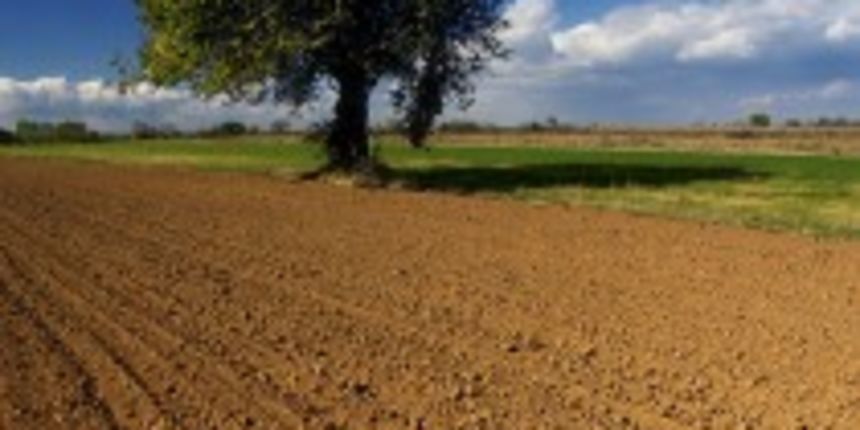 Poljoprivredno zemljište (Foto: agroburza.hr)