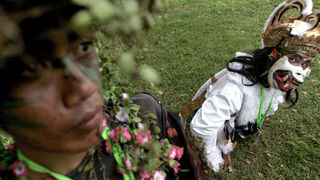 Image 1195819 (auto) Image 1195819 (auto)