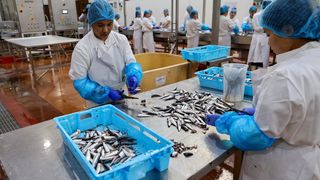 Predsjednik Milanović posjetio je tvrtku Mardešić u Salima