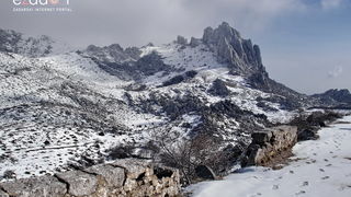 Tulove grede pod snježnim pokrivačem Tulove grede pod snježnim pokrivačem