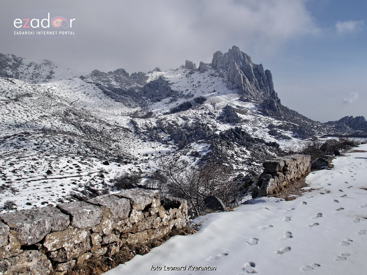 Tulove grede pod snježnim pokrivačem Tulove grede pod snježnim pokrivačem