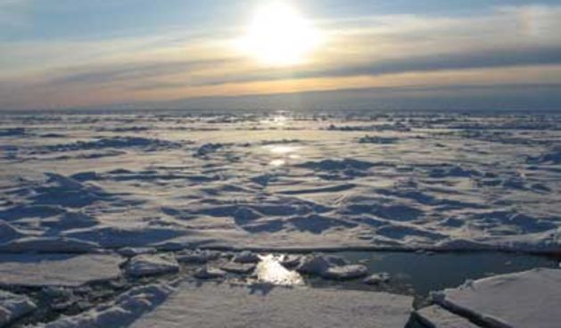 Arktik, foto: klubmamuti.wordpress.com