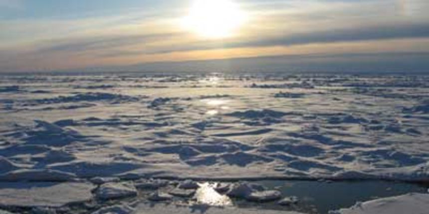 Arktik, foto: klubmamuti.wordpress.com