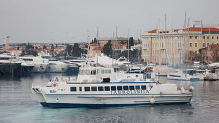 Đir po gradu, 20. siječnja 2025.