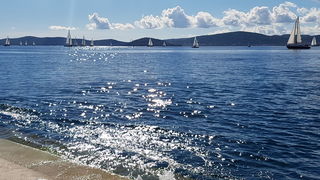 Zadarska Koka 2016. 22. listopada 2016. Foto: Mladen Malik Zadarska Koka 2016. 22. listopada 2016. Foto: Mladen Malik