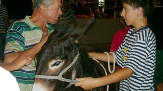 Sukosan: 40. Memorijal kenje Viole i svicarenje, 9. kolovoza 2009, Foto: Mirta Krupic