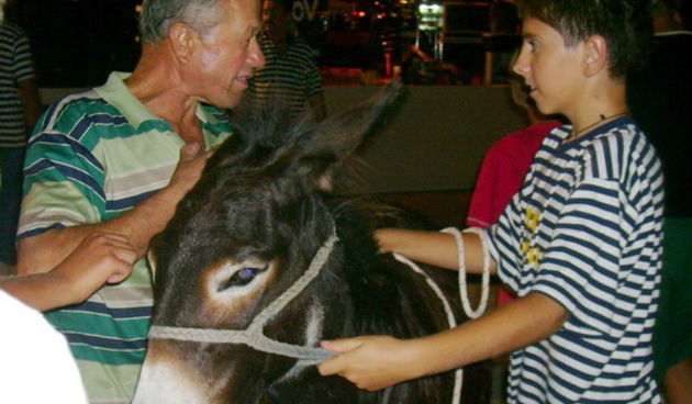 Sukosan: 40. Memorijal kenje Viole i svicarenje, 9. kolovoza 2009, Foto: Mirta Krupic