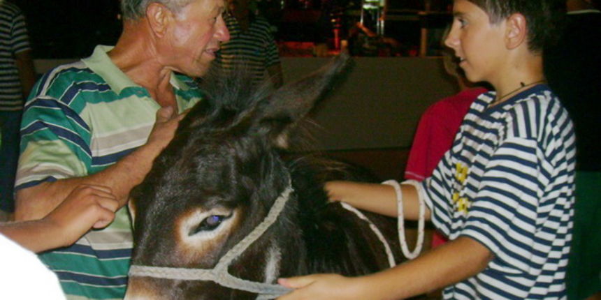 Sukosan: 40. Memorijal kenje Viole i svicarenje, 9. kolovoza 2009, Foto: Mirta Krupic Sukosan: 40. Memorijal kenje Viole i svicarenje, 9. kolovoza 2009, Foto: Mirta Krupic