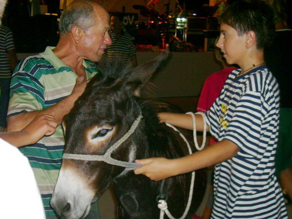 Sukosan: 40. Memorijal kenje Viole i svicarenje, 9. kolovoza 2009, Foto: Mirta Krupic