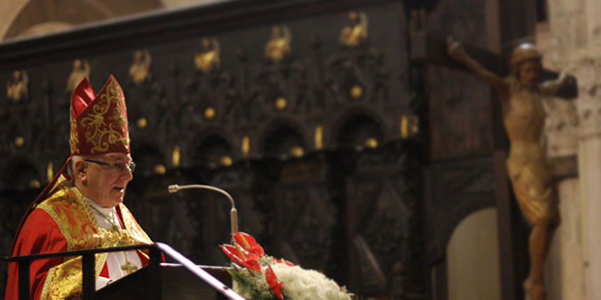 Image 1028591 (auto)