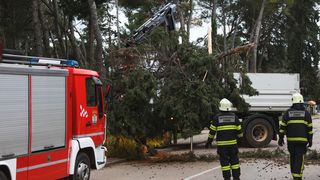 Olujno jugo oborilo stablo i električni stup