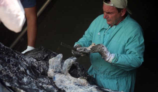 Ekshumacija (Foto: Danijel Soldo / Cropix)