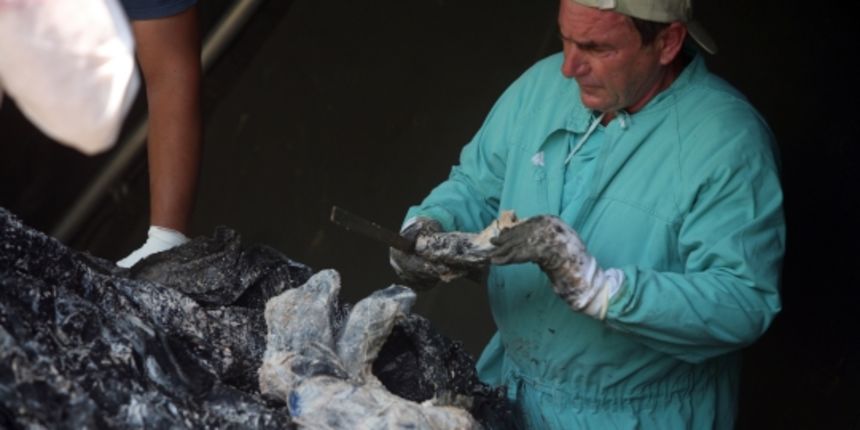 Ekshumacija (Foto: Danijel Soldo / Cropix) Ekshumacija (Foto: Danijel Soldo / Cropix)