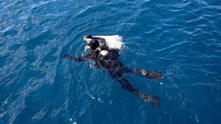 Ekološka manifestacija “Uz more, za more: zelena misija za održivu budućnost Hrvatske” održala se danas na plivarici Škoda koja je jutros u 11 sati isplovila iz zadarske luke Gaženica prema Ugljanu gdje će se provela akcija izvlačenja odbačenih ribarskih Ekološka manifestacija “Uz more, za more: zelena misija za održivu budućnost Hrvatske” održala se danas na plivarici Škoda koja je jutros u 11 sati isplovila iz zadarske luke Gaženica prema Ugljanu gdje će se provela akcija izvlačenja odbačenih ribarskih