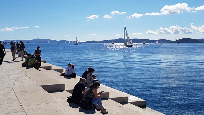 Zadarska Koka 2016. 22. listopada 2016. Foto: Mladen Malik Zadarska Koka 2016. 22. listopada 2016. Foto: Mladen Malik