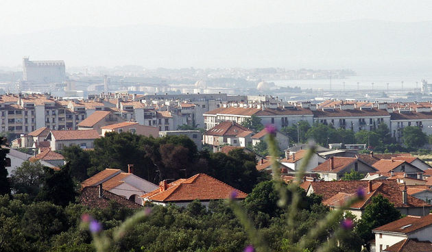 Bili Brig