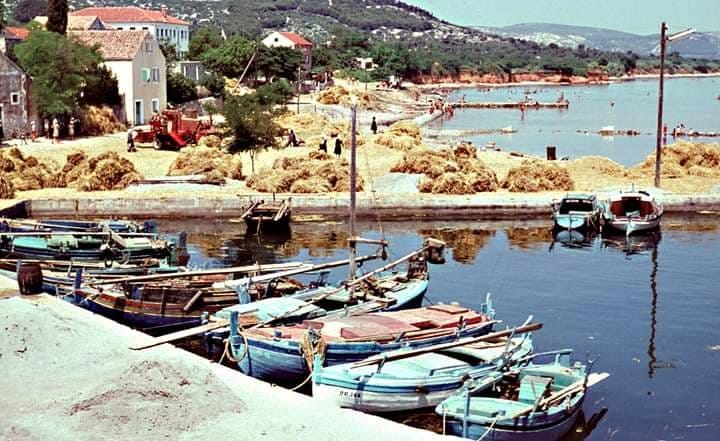 573317740_2271671959937249_6017651649781727280_n 573317740_2271671959937249_6017651649781727280_n