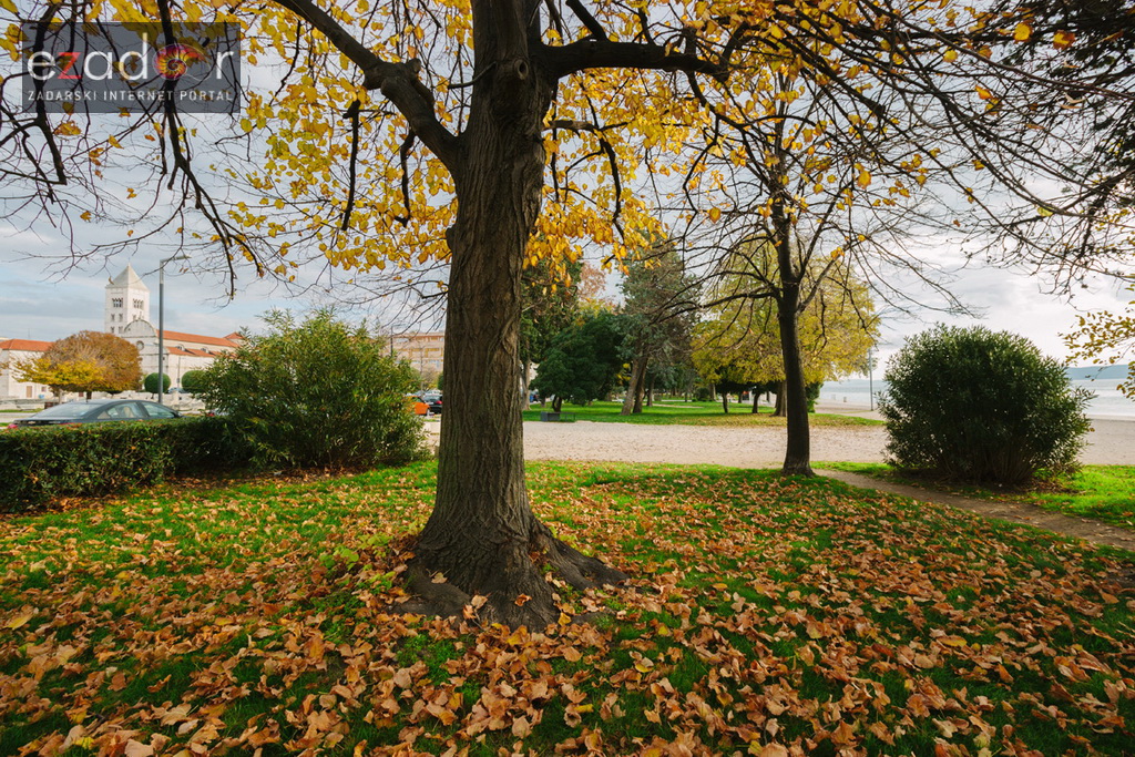 Đir po gradu, petak 24. studenog 2017. – Dan Grada Zadra. Jesen, palo lišće