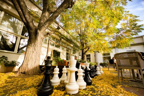 Jesen u knjiznici gkzd