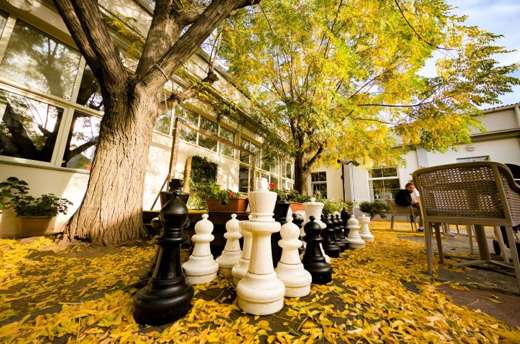 Jesen u knjiznici gkzd