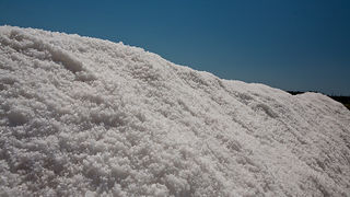 Solana Nin, berba soli, foto: Leo Banić