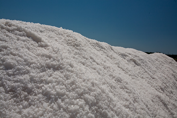 Solana Nin, berba soli, foto: Leo Banić