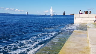 Zadarska Koka 2016. 22. listopada 2016. Foto: Mladen Malik Zadarska Koka 2016. 22. listopada 2016. Foto: Mladen Malik